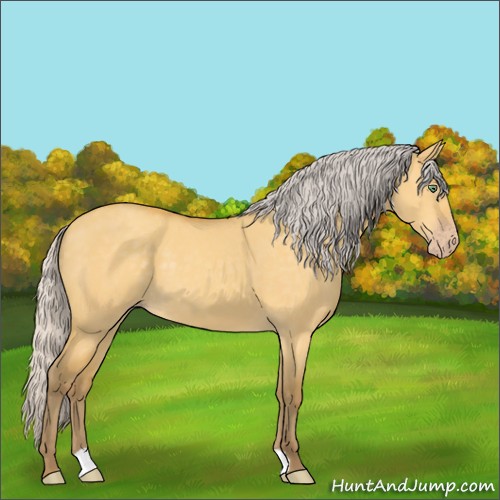 Horse Color:Silver Amber Cream Champagne Dun 