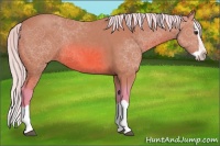 Horse Color:Watercolor Silver Bay Splash