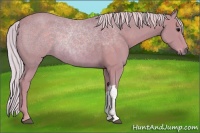 Horse Color:Watercolor Silver Black 