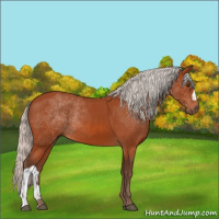 Horse Color:Silver Brown