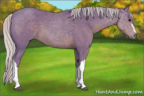 Horse Color:Watercolor Silver Black 