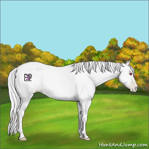 Horse Color:Smoky Blue Chinchilla Roan Pearl 