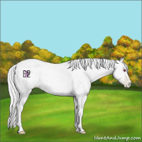 Horse Color:Smoky Blue Chinchilla Roan Pearl 