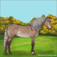 Horse Color:Silver Brown Dun Mushroom 