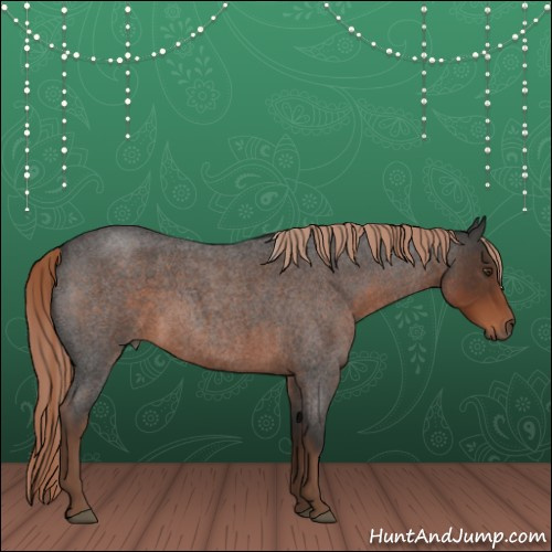 Horse Color:Liver Red Roan 