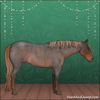 Horse Color:Liver Red Roan 