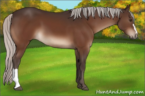 Horse Color:Silver Brown 