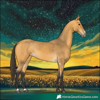 Horse Color:Buckskin 