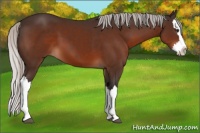 Horse Color:Silver Brown Splash 