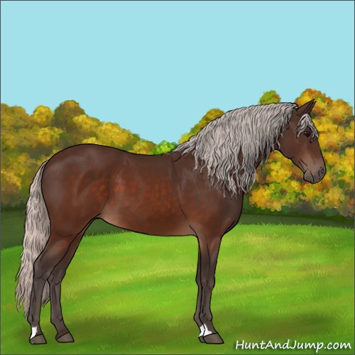 Horse Color:Silver Brown 