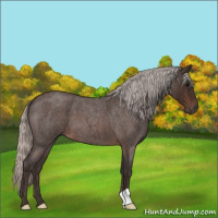 Horse Color:Silver Brown Roan 