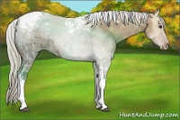 Horse Color:Silver Bay Ice Dun Tobiano 