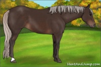 Horse Color:Silver Brown 