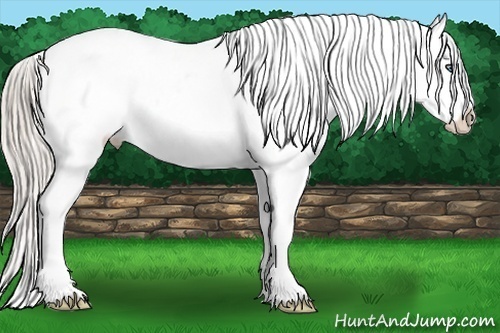 Horse Color:White Spotted Silver Brown Sabino Splash Frame Blanket 