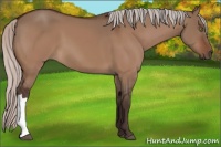 Horse Color:Silver Brown Dun