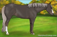 Horse Color:Silver Black