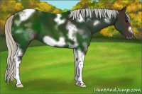 Horse Color:Silver Brown Tobiano Frame 