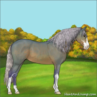 Horse Color:Watercolor Silver Brown Sabino 