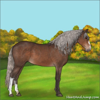 Horse Color:Silver Brown 