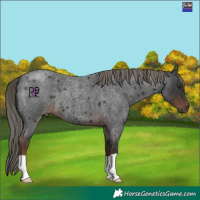 Horse Color:Liver Red Roan Mushroom 