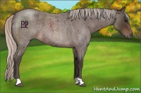 Horse Color:Silver Brown Roan 