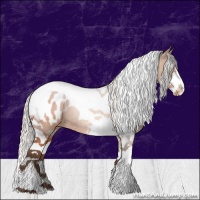 Horse Color:Silver Brown Sabino Tobiano Blanket 
