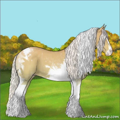 Horse Color:Silver Perlino Dun Sabino Tobiano 