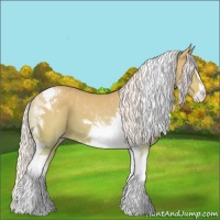 Horse Color:Silver Perlino Dun Sabino Tobiano