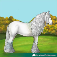 Horse Color:Gray Watercolor Silver Buckskin Tobiano 