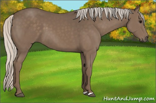 Horse Color:Silver Black 