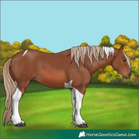 Horse Color:Chestnut Tobiano 