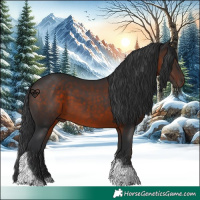 Horse Color:Brown Tobiano