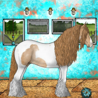 Horse Color:Chestnut Tobiano Rabicano 
