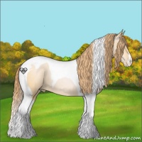 Horse Color:Buckskin Pearl Tobiano