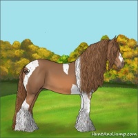 Horse Color:Chestnut Tobiano