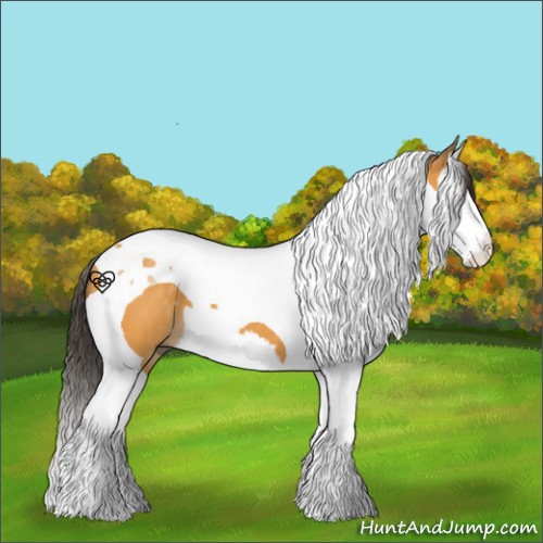 Horse Color:Buckskin Splash Tobiano 