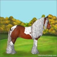 Horse Color:Silver Bay Tobiano 