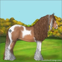 Horse Color:Chestnut Tobiano 
