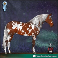 Horse Color:White Spotted Silver Brown 