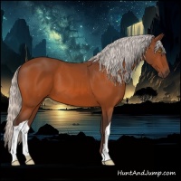 Horse Color:Silver Bay 
