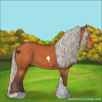 Horse Color:Silver Bay Tobiano 