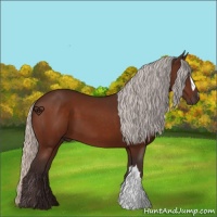 Horse Color:Silver Brown 