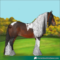 Horse Color:Bay Tobiano