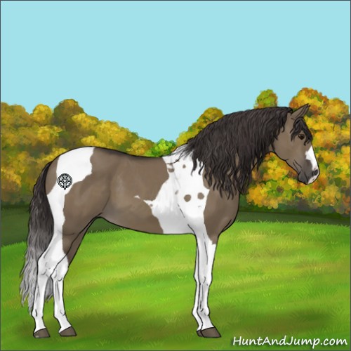 Horse Color:Smoky Grullo Tobiano 