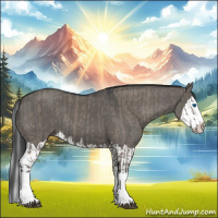 Horse Color:Grullo Sabino Splash  and Grullo Sabino Splash 