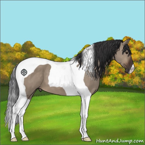 Horse Color:Brown Dun Tobiano 