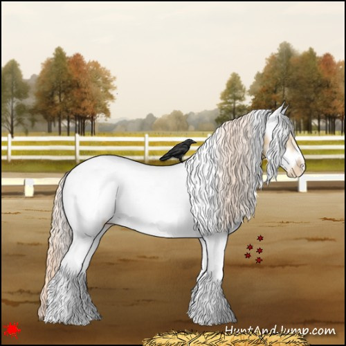 Horse Color:White Spotted Gold Cream Champagne Frame Appaloosa 