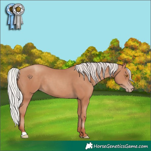 Horse Color:Silver Classic Champagne 