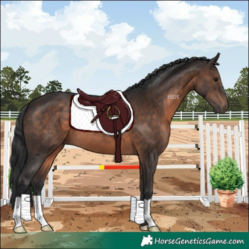 Horse Color:Brown 