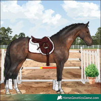 Horse Color:Brown 